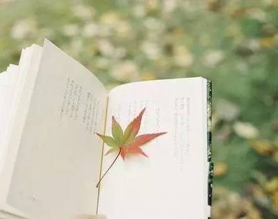 讀書，也是一種旅行——企業管理視角下的閱讀智慧