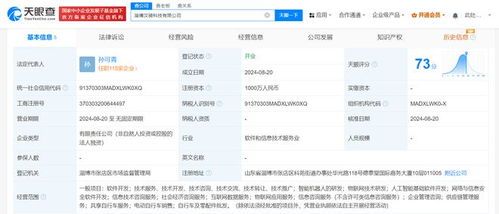 美團在淄博成立科技新公司，聚焦軟件開發賦能區域數字化升級